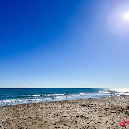 Playa Dorada Vibes 1 Appartement